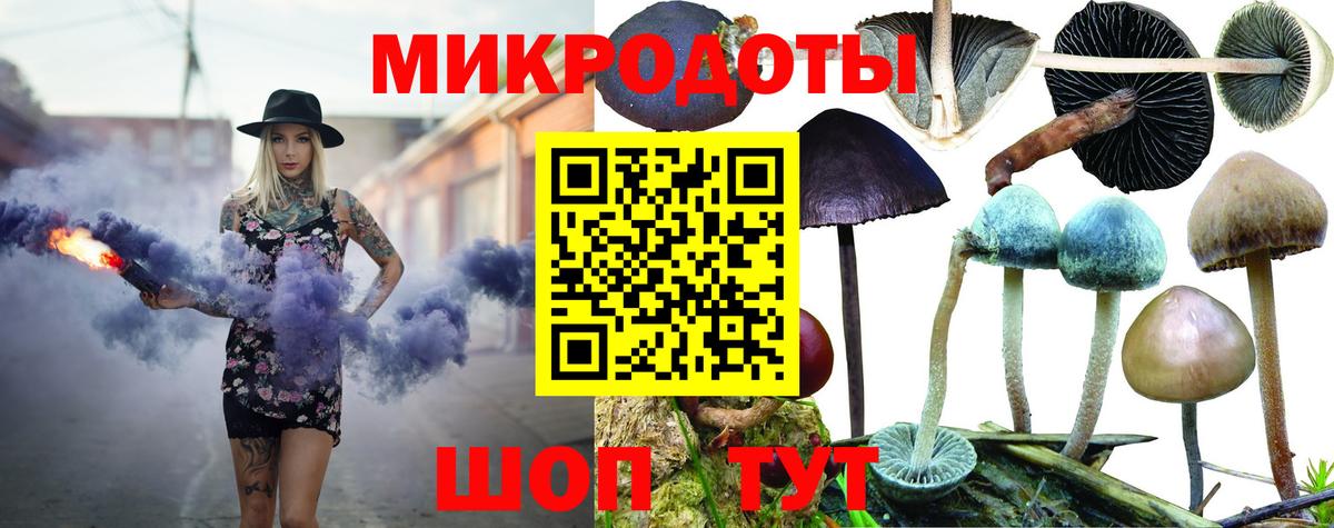 Псилоцибиновые грибы мицелий Ливны